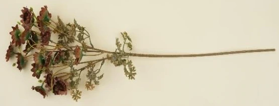 Tiny Sunflower Stick